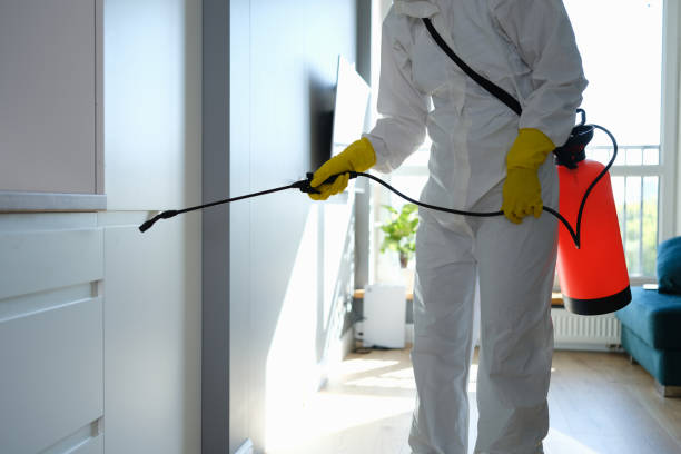 Best Office Mold Removal Services  in Warsaw, MO