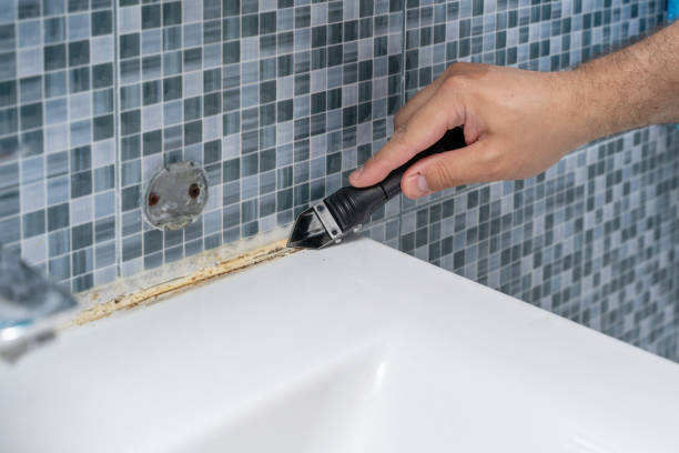 Best Best Mold Removal Companies  in Warsaw, MO
